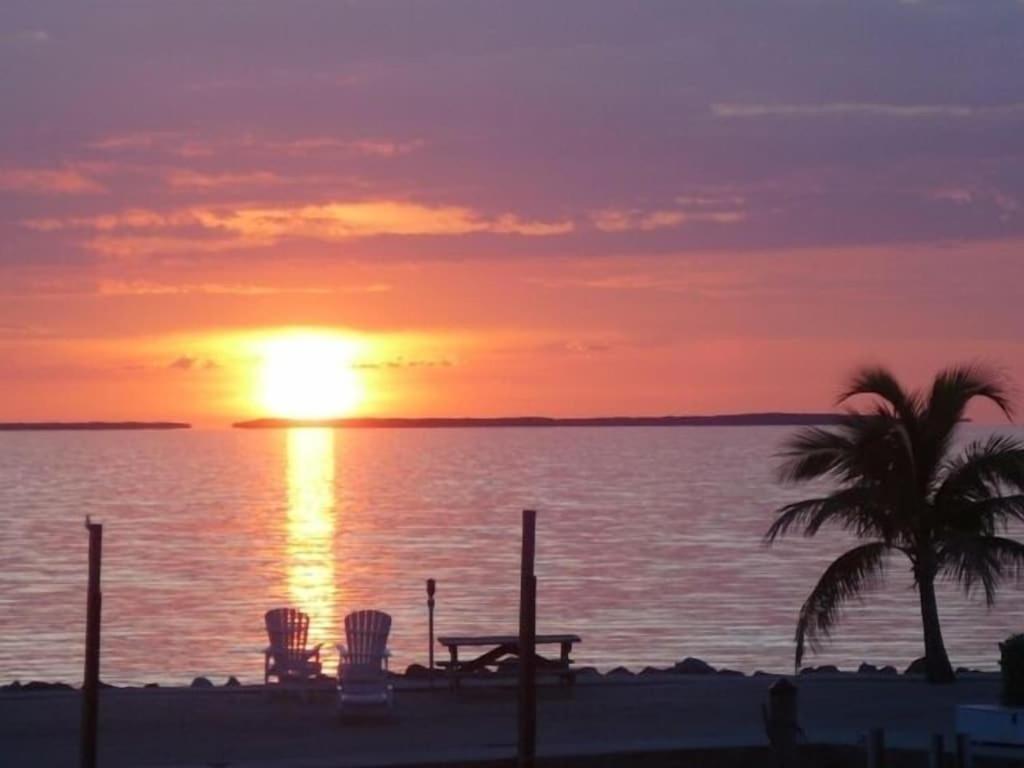 Islamorada Paradise Overlooking The Fabulous Florida Bay. 塔维涅 外观 照片
